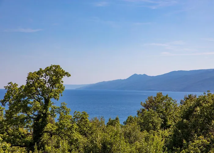 Lux 1 בית הארחה רייקה